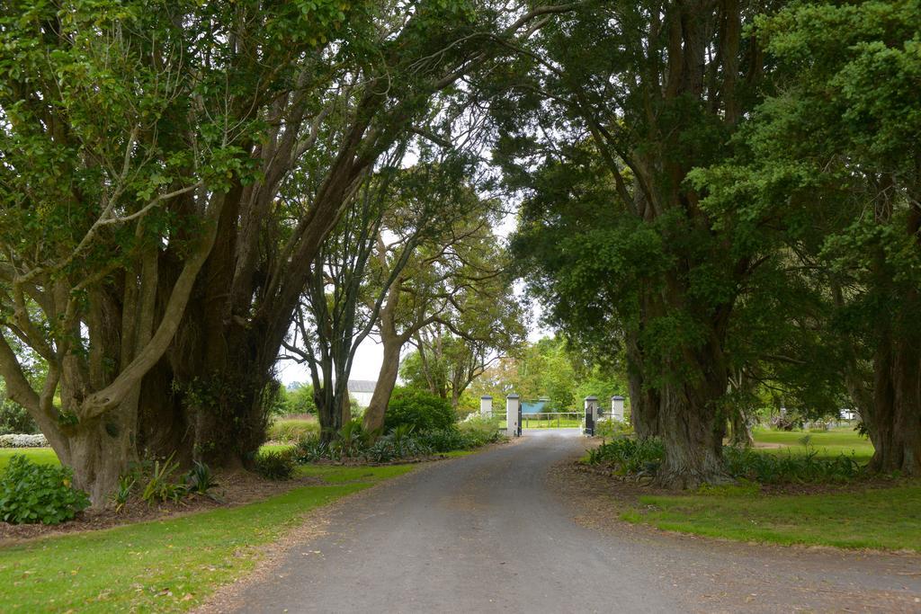 Tuakau Lavalla Estate 게스트하우스 외부 사진