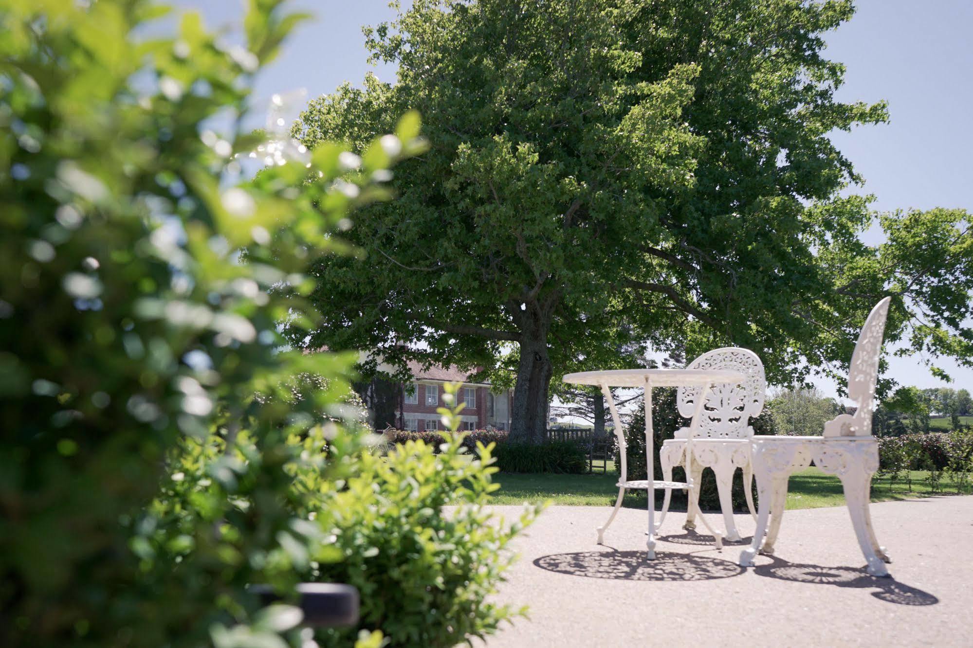 Tuakau Lavalla Estate 게스트하우스 외부 사진